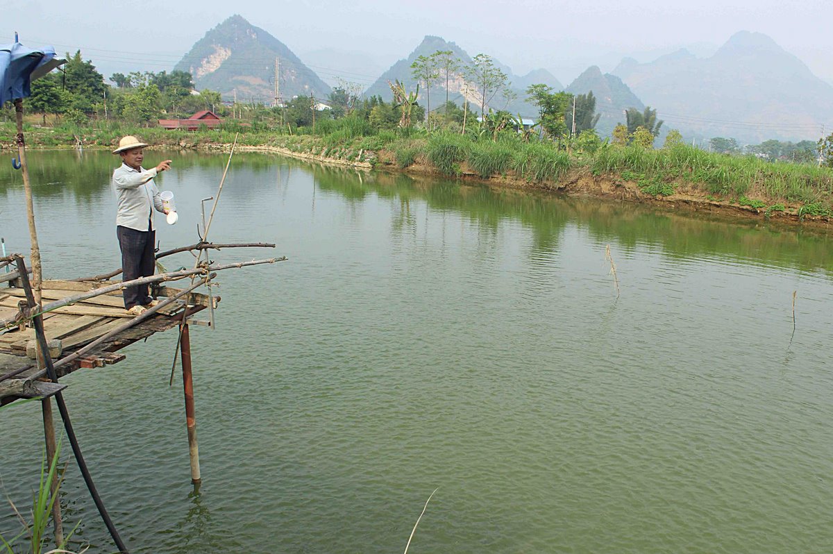 Ao nuôi cá của gia đình ông Hảng Chống Di.
